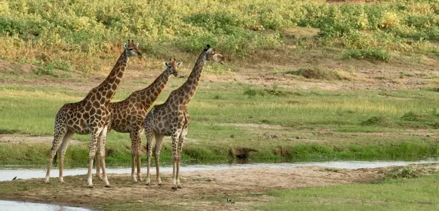 Redenen waarom je naar Zuid-Afrika moet!