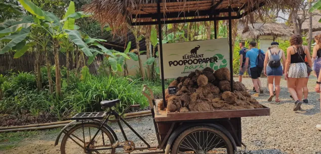 Zorg en verzekeringen Thailand