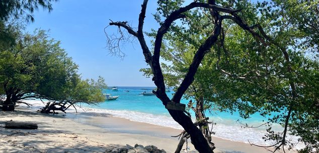 Algemene informatie Bali reizen