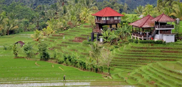 Kosten en budget Bali