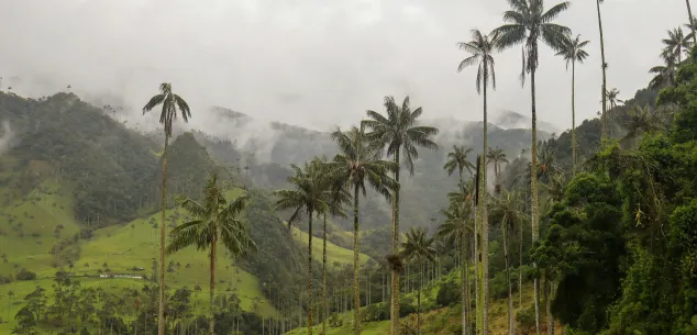 Welk deel van Colombia is het mooist?