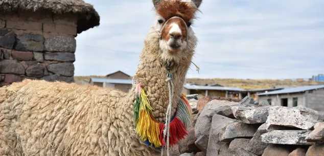 Hoe lang rondreizen in Peru?