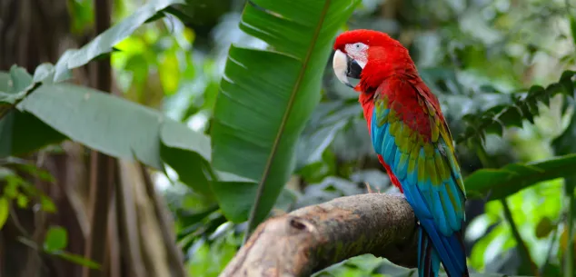 10 redenen om naar Colombia te reizen