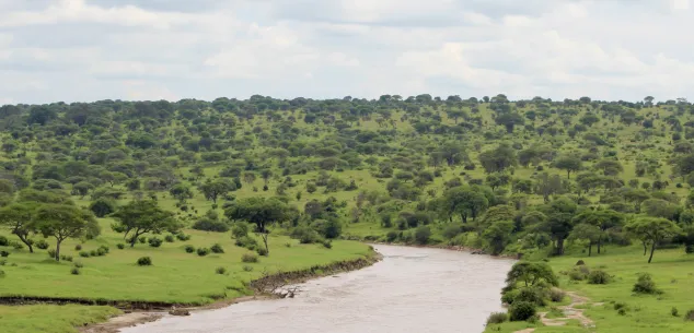 Temperatuur en klimaat Tanzania