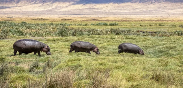 10 Redenen waarom je naar Tanzania moet!
