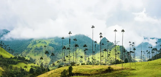 Kosten en prijzen Colombia