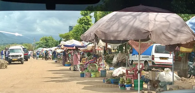 Zorg en verzekeringen Tanzania / Zanzibar