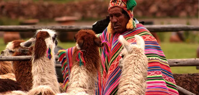 Kosten en budget in Peru