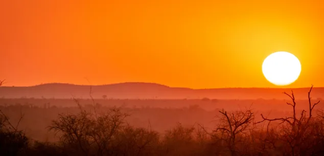 Zorg en verzekeringen Zuid-Afrika