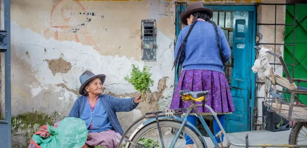 Taxi en OV Peru