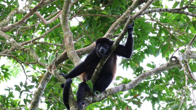 Costa Rica