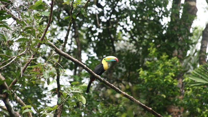 Costa Rica