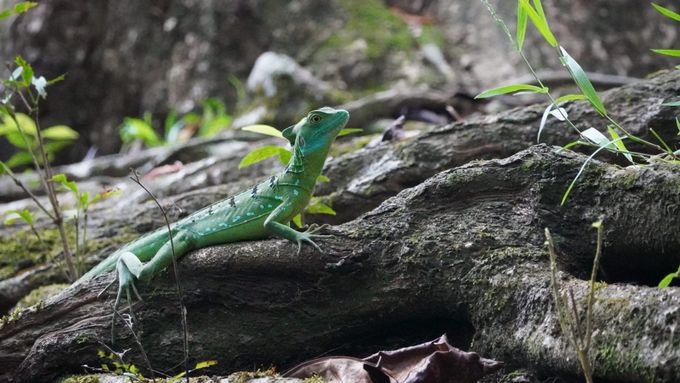 Costa Rica