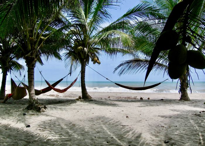 Palomino strand Colombia