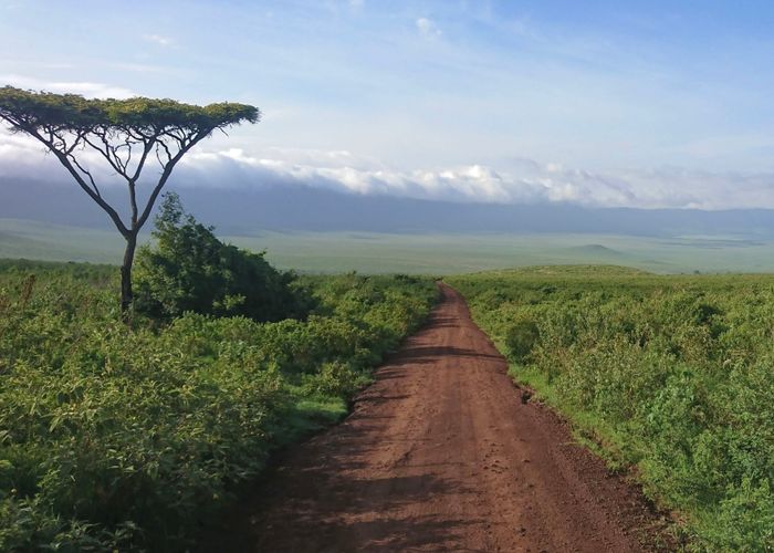 Ngorongoro