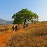 Safari-uitbreiding Kariega Private Reserve