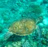 Verlenging Komodo National Park