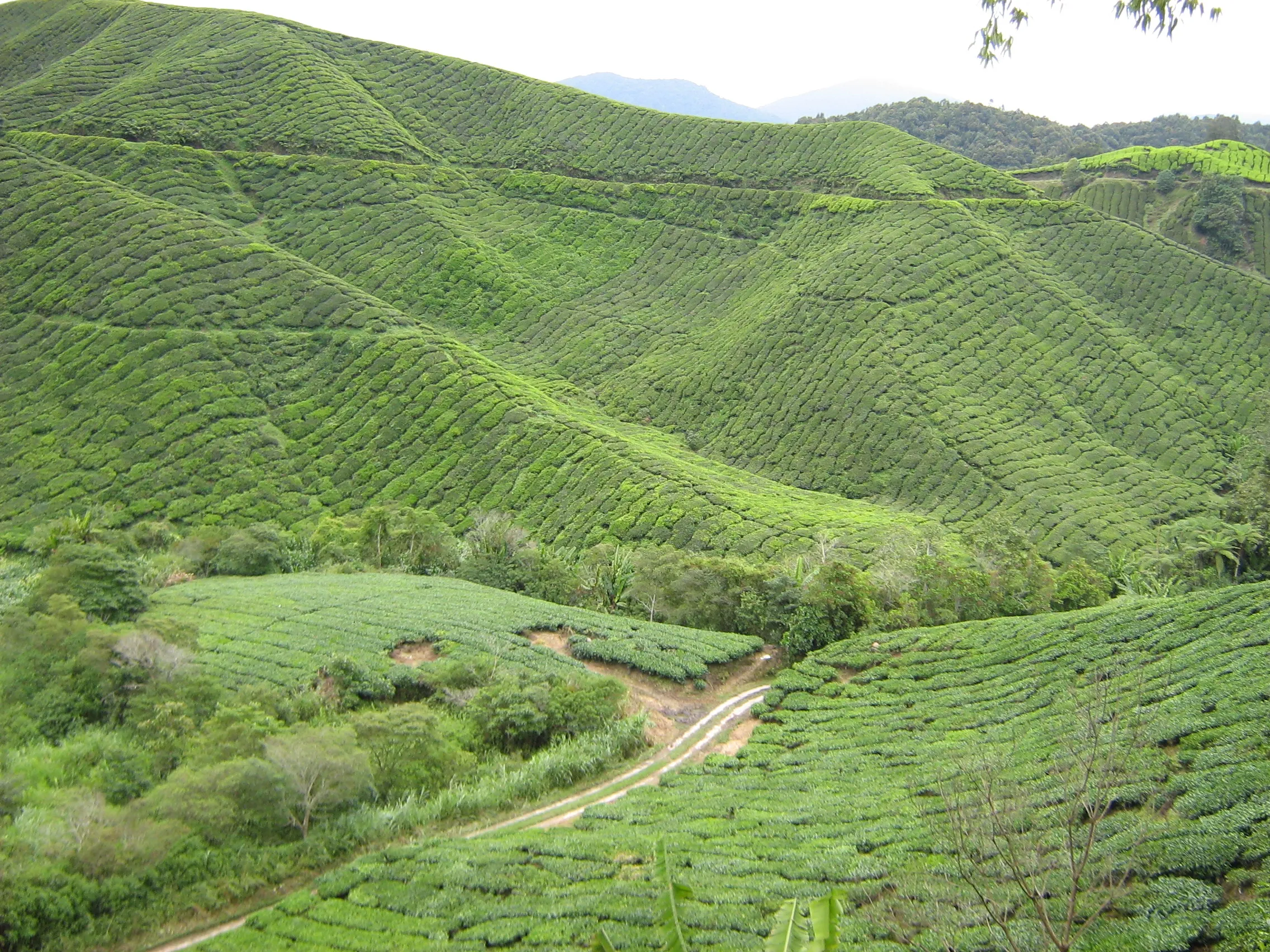 Maleisië