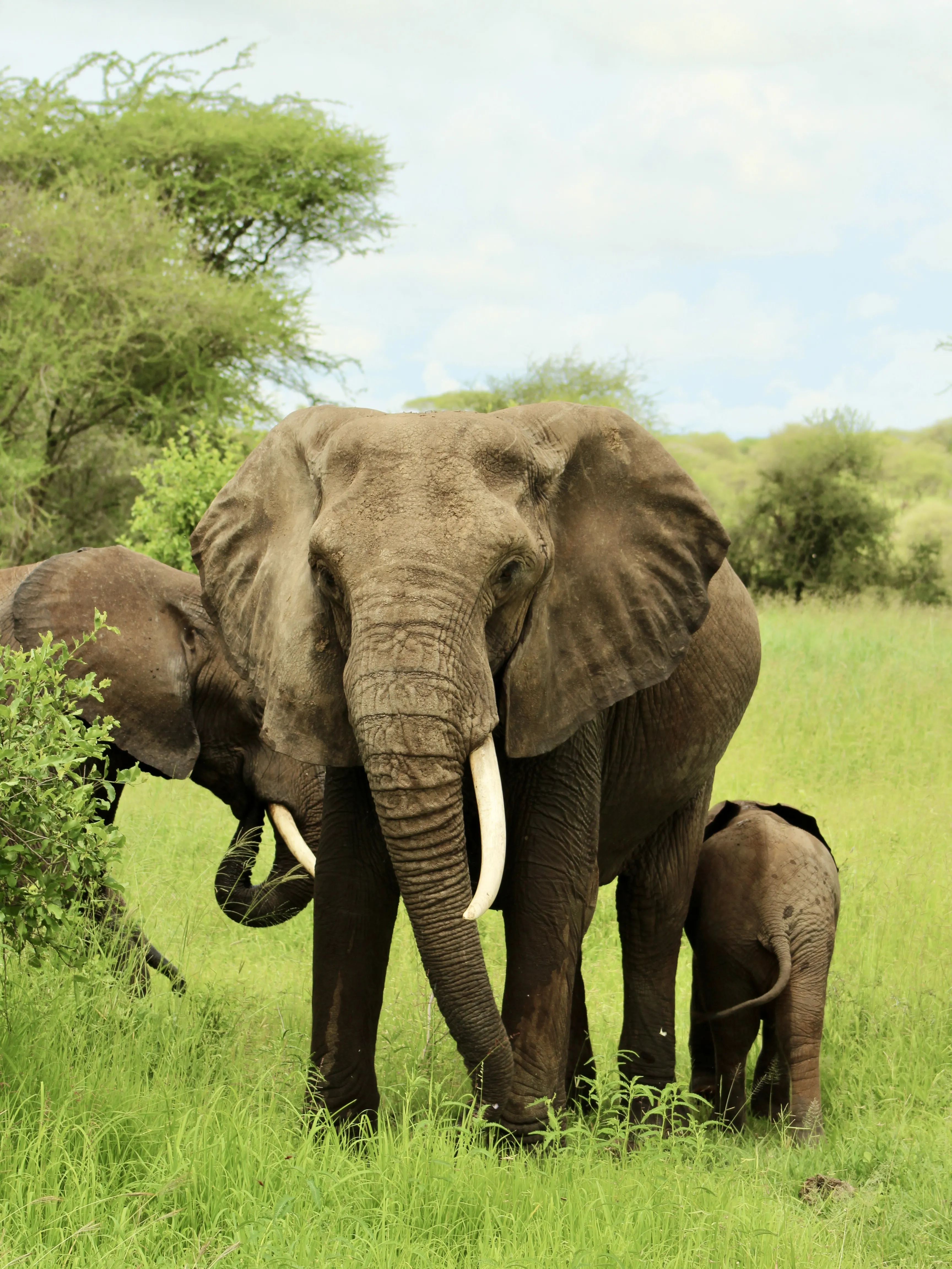 Tanzania