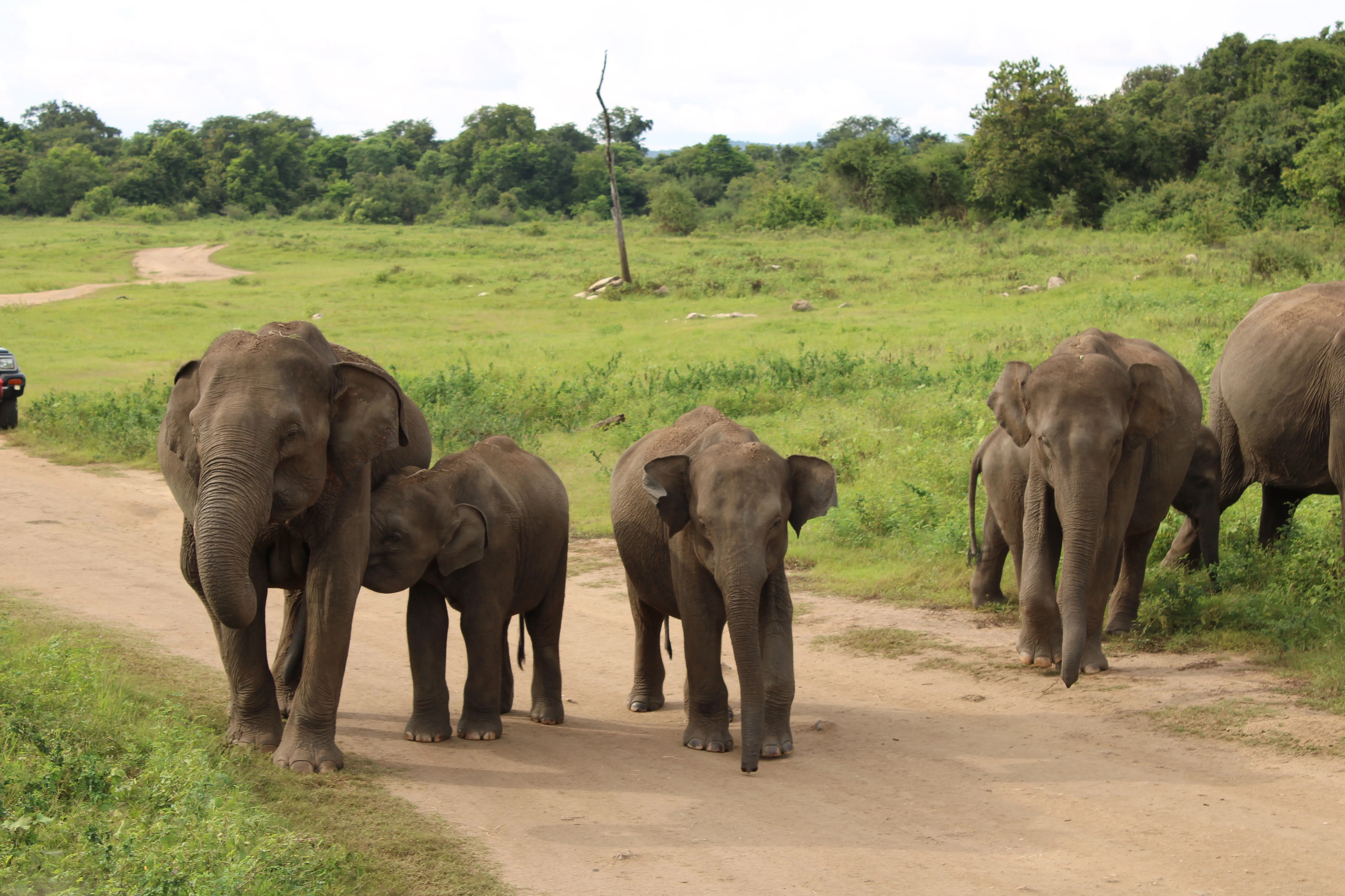 Sri Lanka