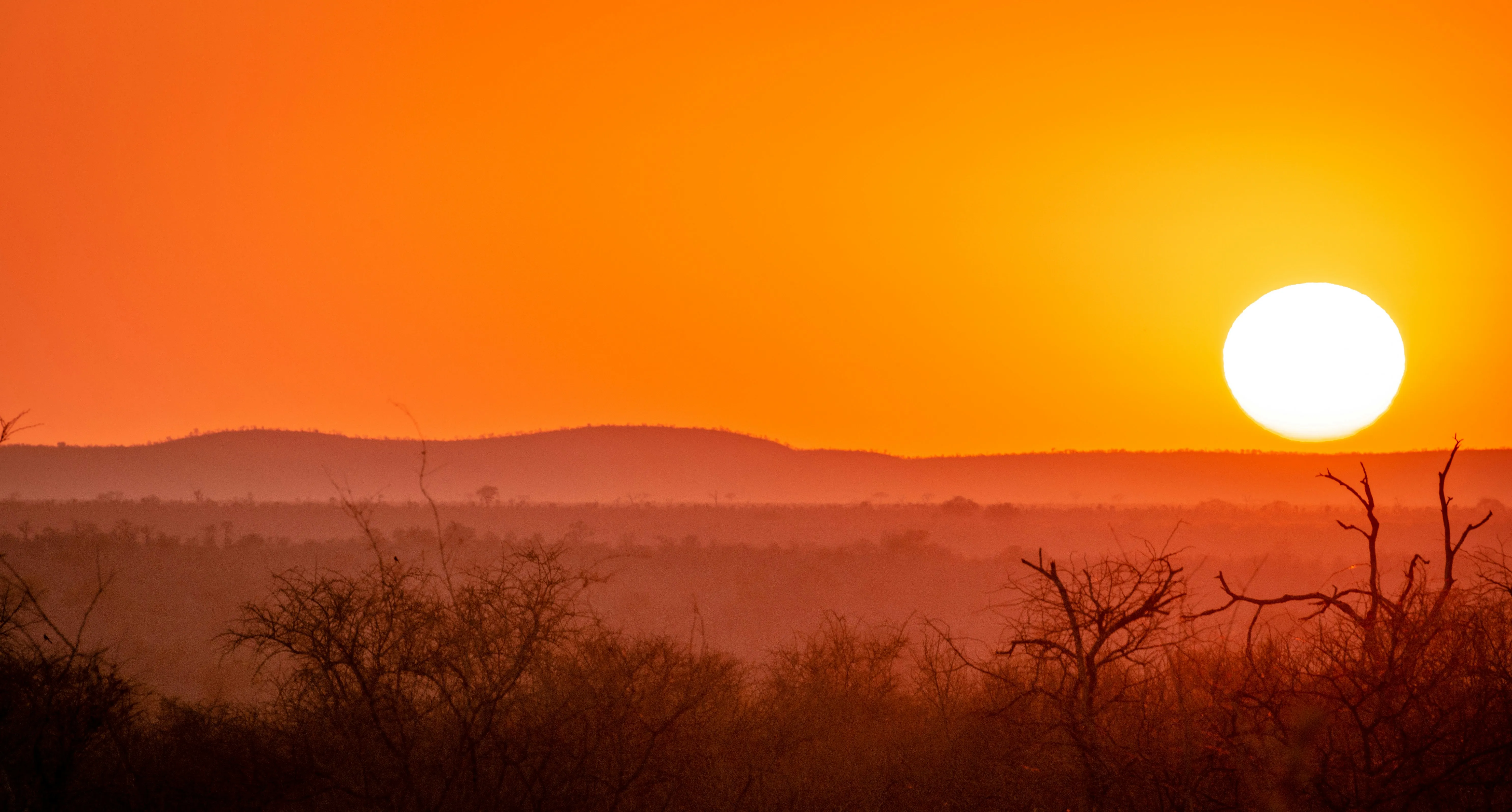 Zuid-Afrika